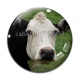 Cabochon Verre - vache