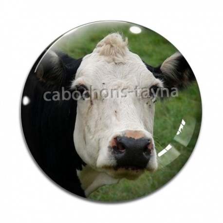 Cabochon Verre - vache