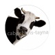vache