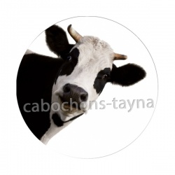 vache