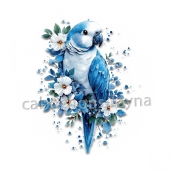 oiseau