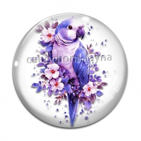 Cabochon Verre - oiseau