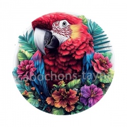 oiseau