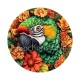 oiseau