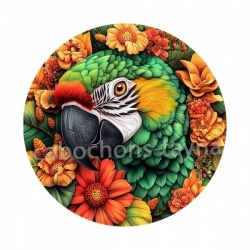 oiseau
