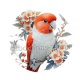 oiseau