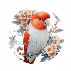 oiseau