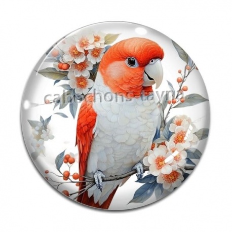 Cabochon Verre - oiseau