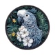 oiseau