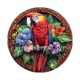oiseau