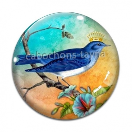 Cabochon Verre - oiseau