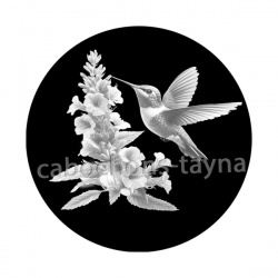 oiseau
