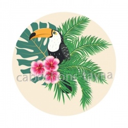 toucan