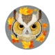 hibou