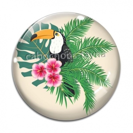 Cabochon Verre - toucan