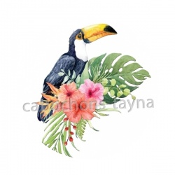toucan