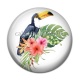 Cabochon Résine - toucan