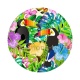 toucan