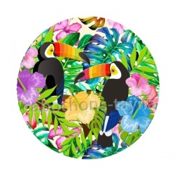 toucan