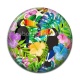 Cabochon Résine - toucan