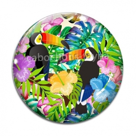 Cabochon Verre - toucan