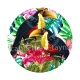 toucan