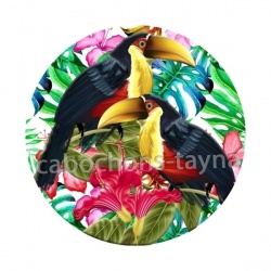toucan