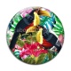 Cabochon Verre - toucan