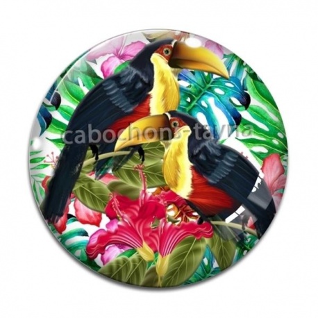 Cabochon Verre - toucan