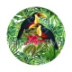 toucan