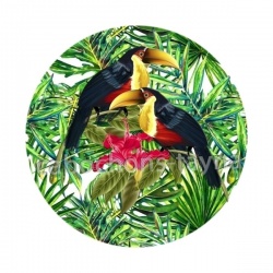 toucan