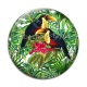 Cabochon Verre - toucan