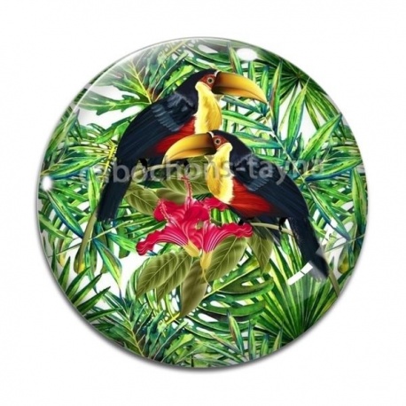 Cabochon Verre - toucan