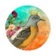 toucan