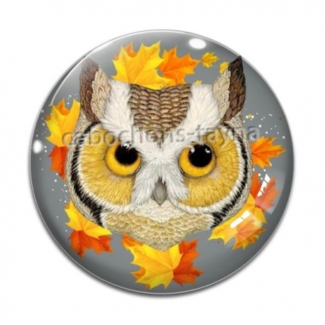 Cabochon Verre - hibou