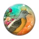 Cabochon Verre - toucan