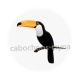 toucan