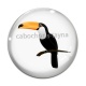 Cabochon Verre - toucan