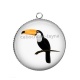 Pendentif Cabochon Argent - toucan