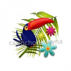 toucan