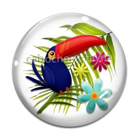 Cabochon Verre - toucan