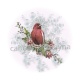 oiseau
