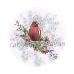 oiseau