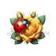 coccinelle