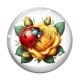 Cabochon Verre - coccinelle