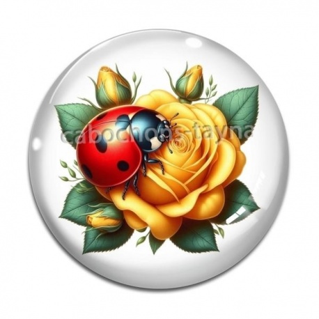 Cabochon Verre - coccinelle