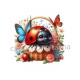 coccinelle