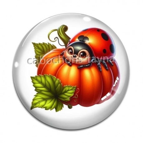 Cabochon Verre - coccinelle