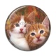 Cabochon Résine - chat