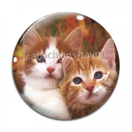 Cabochon Verre - chat